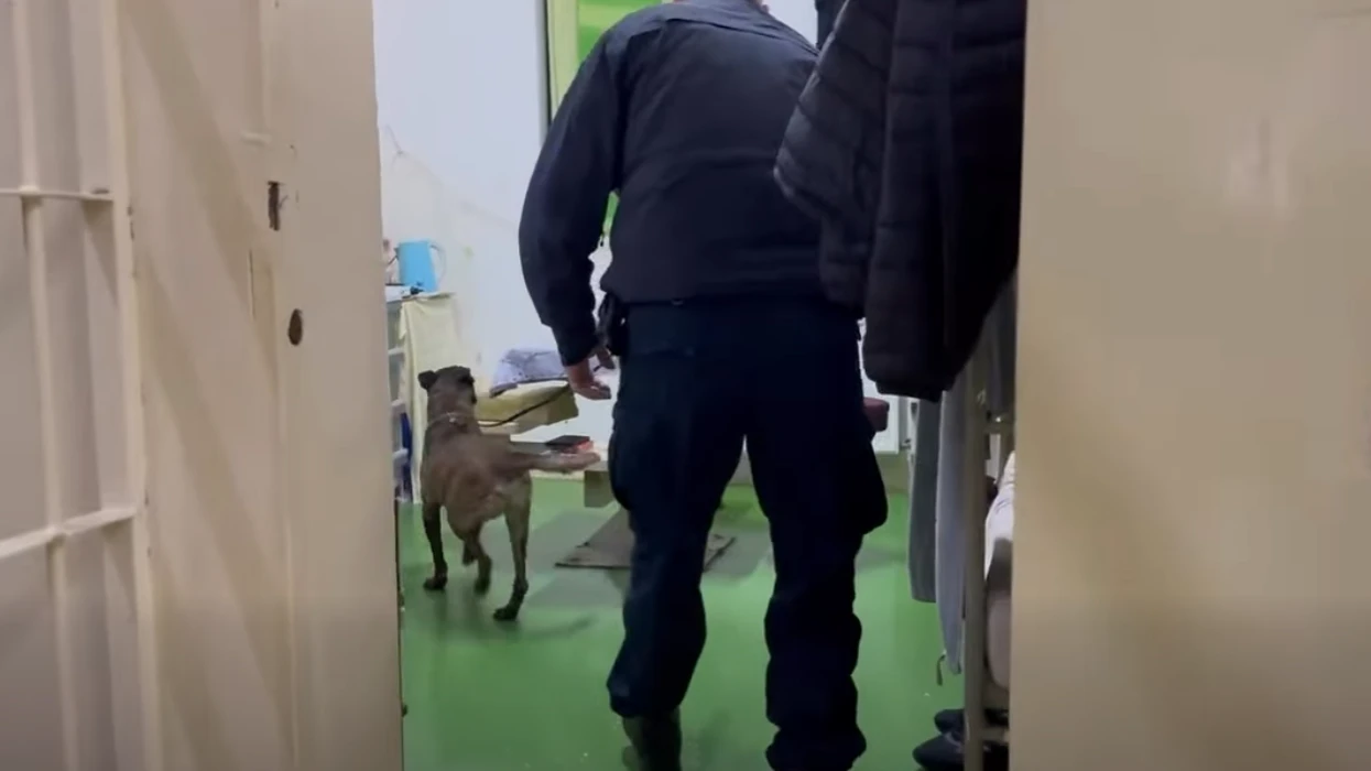 Operacion i gjerë në burgun e Dubravës, të pranishëm edhe njësiti special K9