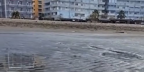Fenomen i rrallë në Shëngjin: “Tërhiqet” deti, del rëra