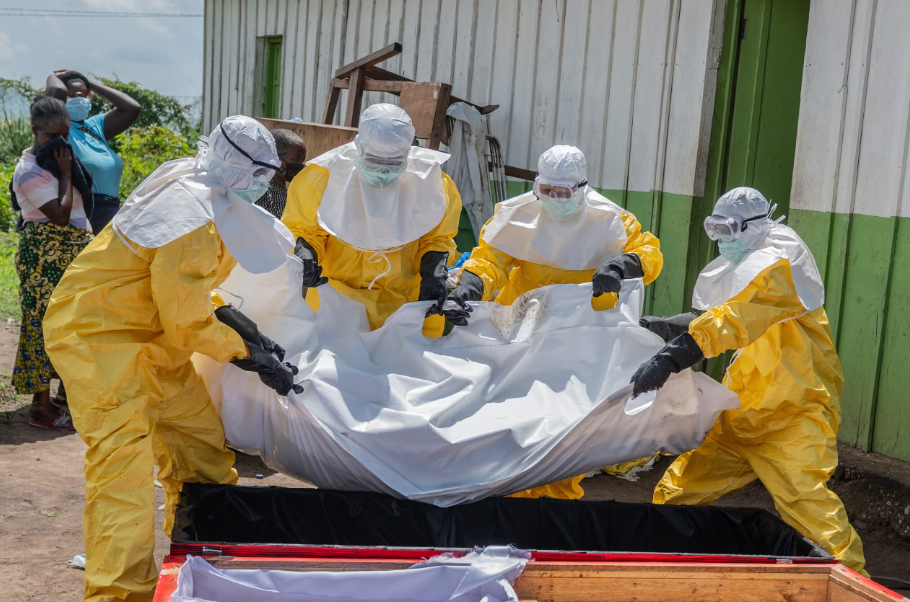 Mbi 220 viktima nga ebola, me qindra të infektuar në Kongo, shtohen rastet në Ugandë