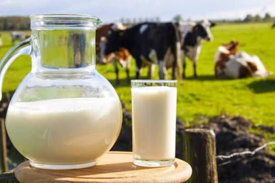 Alarmon Shoqata e Industrisë së Qumështit të Kosovës: Qumështi vendor po zëvendësohet nga importi